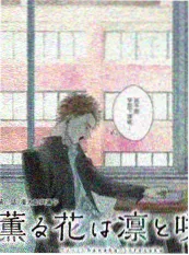 荒野七日户外综艺在线观看